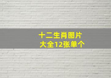 十二生肖图片大全12张单个