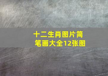 十二生肖图片简笔画大全12张图