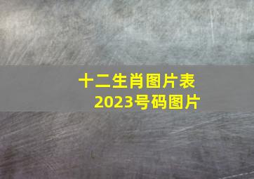 十二生肖图片表2023号码图片