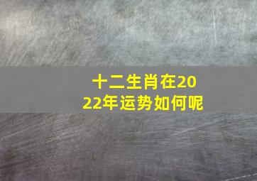 十二生肖在2022年运势如何呢