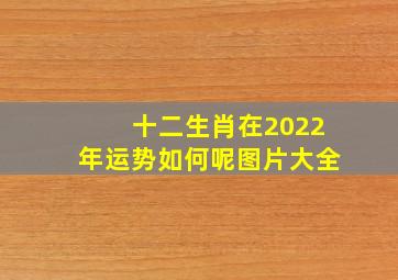 十二生肖在2022年运势如何呢图片大全