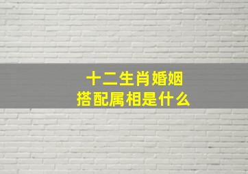 十二生肖婚姻搭配属相是什么