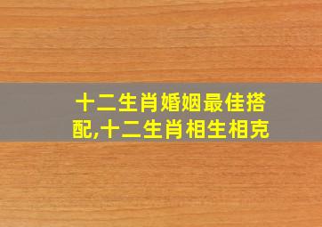 十二生肖婚姻最佳搭配,十二生肖相生相克