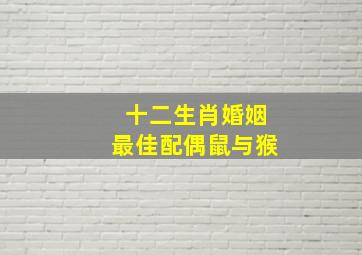 十二生肖婚姻最佳配偶鼠与猴