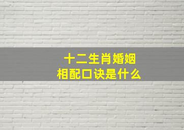 十二生肖婚姻相配口诀是什么