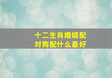 十二生肖婚姻配对狗配什么最好