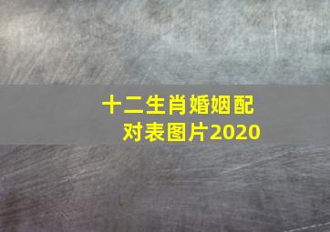 十二生肖婚姻配对表图片2020