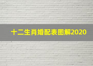 十二生肖婚配表图解2020