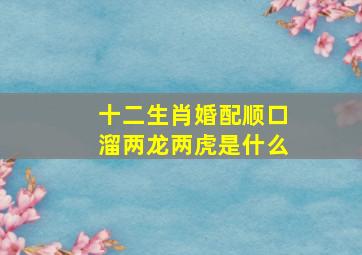 十二生肖婚配顺口溜两龙两虎是什么