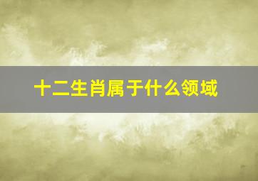 十二生肖属于什么领域