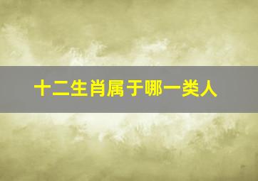 十二生肖属于哪一类人