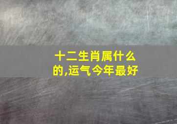 十二生肖属什么的,运气今年最好