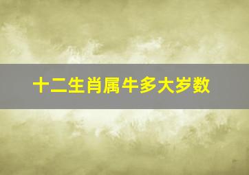 十二生肖属牛多大岁数