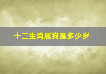 十二生肖属狗是多少岁