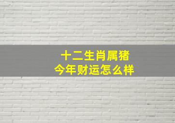 十二生肖属猪今年财运怎么样