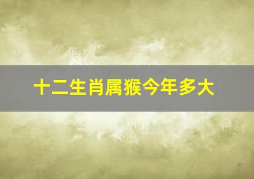 十二生肖属猴今年多大