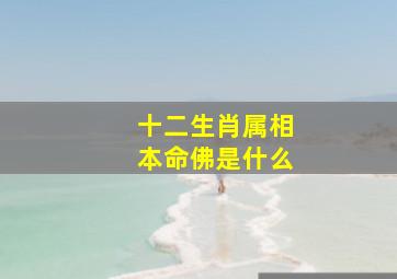 十二生肖属相本命佛是什么