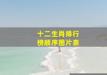 十二生肖排行榜顺序图片表