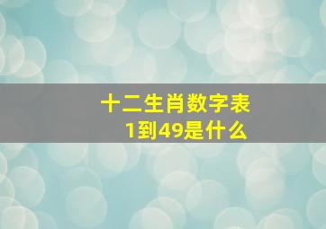 十二生肖数字表1到49是什么