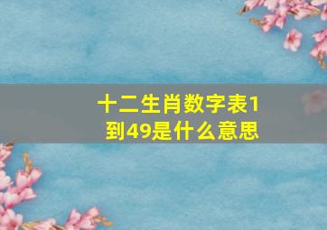 十二生肖数字表1到49是什么意思