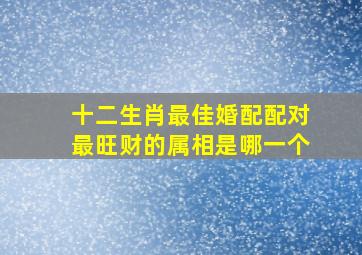 十二生肖最佳婚配配对最旺财的属相是哪一个