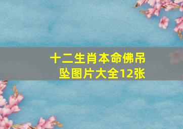 十二生肖本命佛吊坠图片大全12张