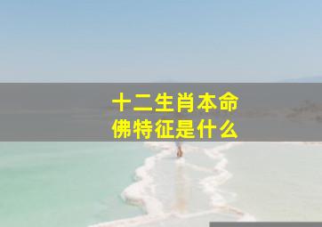 十二生肖本命佛特征是什么