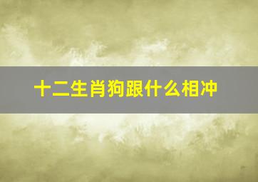 十二生肖狗跟什么相冲