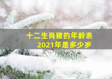 十二生肖猪的年龄表2021年是多少岁