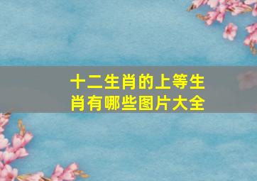 十二生肖的上等生肖有哪些图片大全