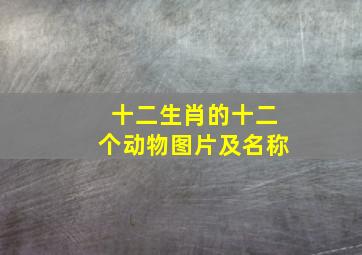 十二生肖的十二个动物图片及名称