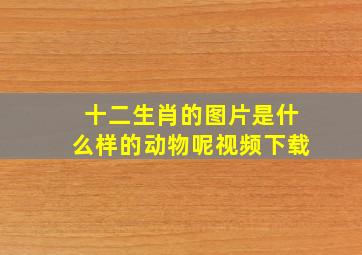 十二生肖的图片是什么样的动物呢视频下载