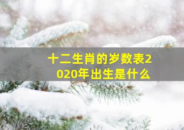 十二生肖的岁数表2020年出生是什么