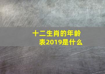 十二生肖的年龄表2019是什么