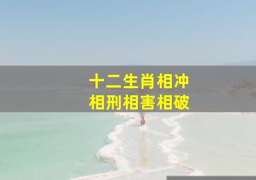 十二生肖相冲相刑相害相破