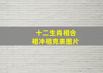 十二生肖相合相冲相克表图片