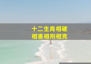 十二生肖相破相害相刑相克