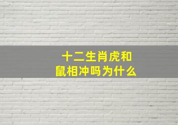 十二生肖虎和鼠相冲吗为什么