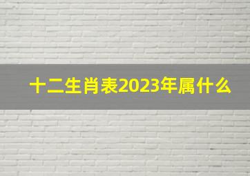 十二生肖表2023年属什么