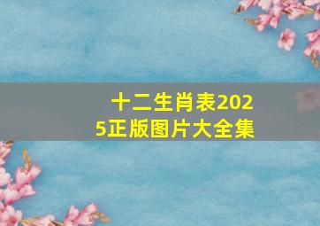 十二生肖表2025正版图片大全集