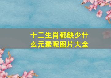 十二生肖都缺少什么元素呢图片大全