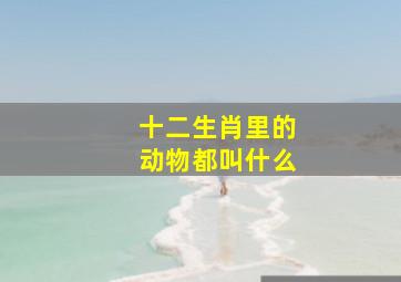 十二生肖里的动物都叫什么