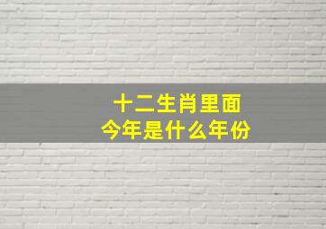 十二生肖里面今年是什么年份