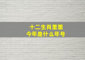 十二生肖里面今年是什么年号