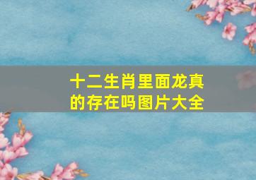 十二生肖里面龙真的存在吗图片大全