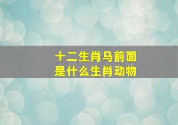 十二生肖马前面是什么生肖动物