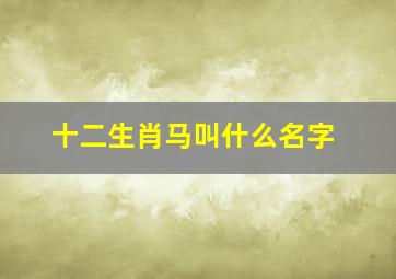 十二生肖马叫什么名字