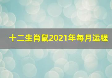 十二生肖鼠2021年每月运程