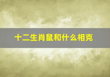 十二生肖鼠和什么相克