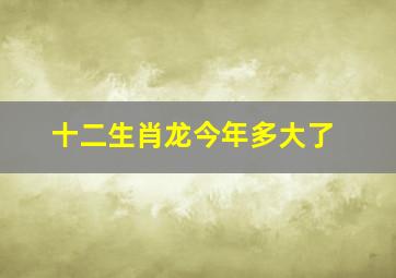 十二生肖龙今年多大了